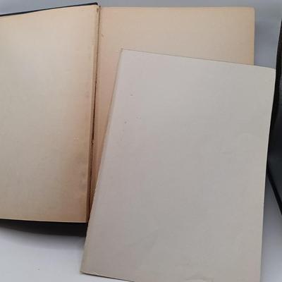 LOT 14: Charl3s Scribner's & Sons 1883 Merry Adventures of Robin hood, 1932 Pinocchio, 1929 Bambi & More