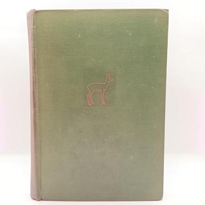 LOT 14: Charl3s Scribner's & Sons 1883 Merry Adventures of Robin hood, 1932 Pinocchio, 1929 Bambi & More