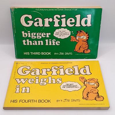 LOT 18: Comic Colection- Garfield, Andy Capp, Calvin and Hobbes & More