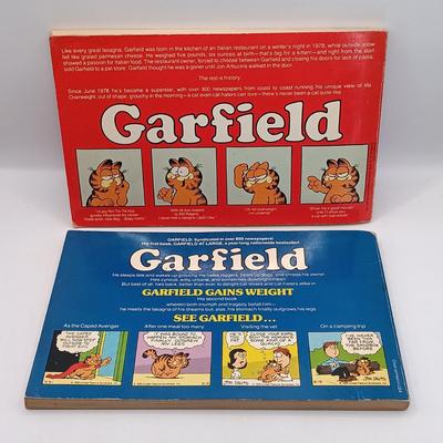 LOT 18: Comic Colection- Garfield, Andy Capp, Calvin and Hobbes & More