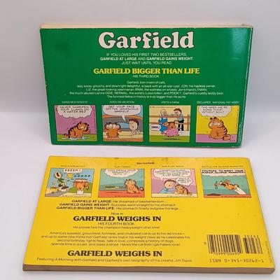 LOT 18: Comic Colection- Garfield, Andy Capp, Calvin and Hobbes & More