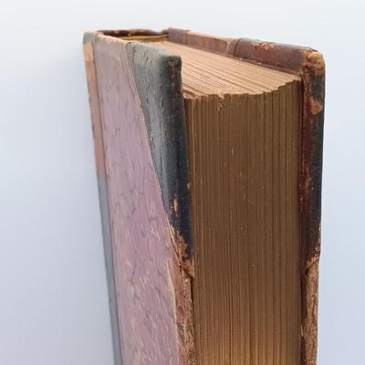 LOT 193: Commonwealth of PA 1897 Pennsylvania at Chickamauga and Chattanooga, 1890 Samantha at the Centennial & More