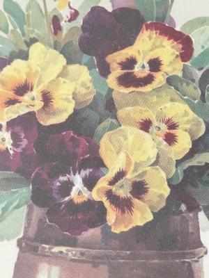 LOT 57L: Vintage Robert Furber (British, 1674-1756) "April" Print, "Pansies in a Pewter Vase" by Paul de Longpré...