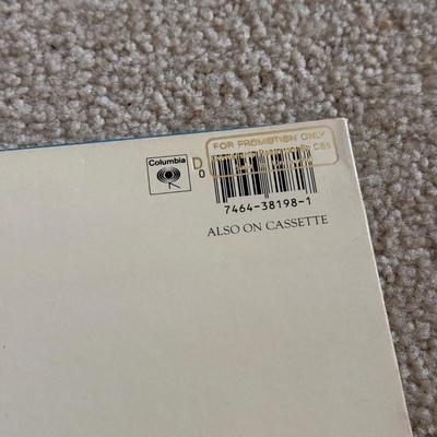 LOT 224L: Collection of Vintage & Promotional Copy Records: Bonnie Tyler, Red Rockers & More