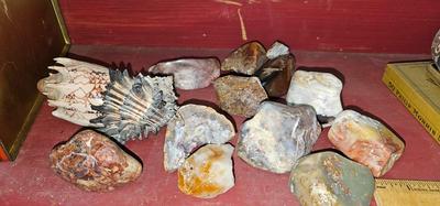 Rocks, Quartz, Gemstones, Shells Collection