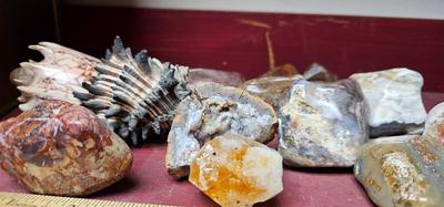 Rocks, Quartz, Gemstones, Shells Collection