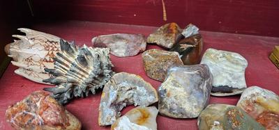 Rocks, Quartz, Gemstones, Shells Collection