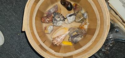Rocks, Quartz, Gemstones, Shells Collection