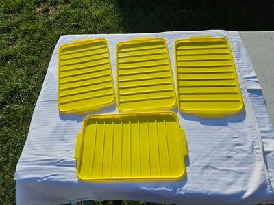 4 Plastic Trays