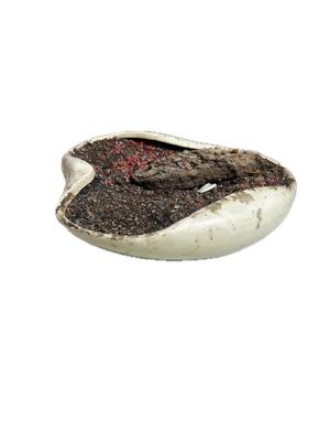 Abstract Shaped White Low Profile Planter
