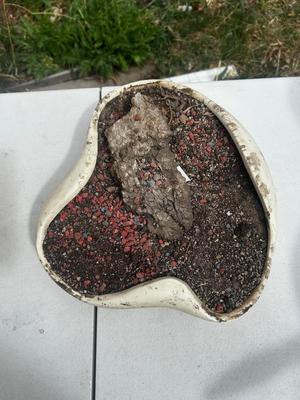 Abstract Shaped White Low Profile Planter
