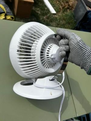 White Fan