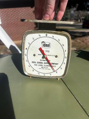 Scale