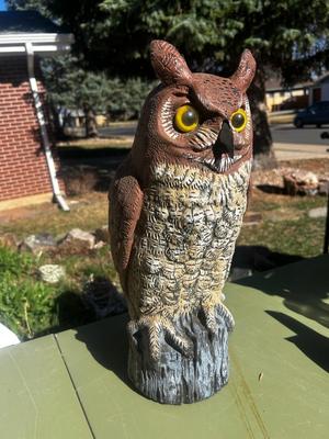 Fake Owl Statue Pest Deterrent