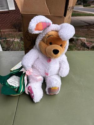 Pooh Bear in Easter Costume w/ Book and Treat basket