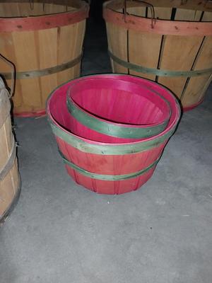 TOMATO BASKETS