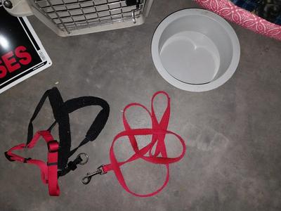MEDIUM PET TAXI CARRIER AND SUPPLIES