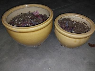 TWO CERAMIC POTS AND SOLAR FLOWER