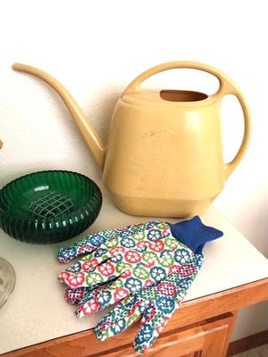 HALL VASE-FROGG-GLASS HOLDER-GLOVES AND WATERING CAN