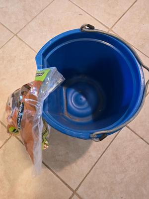Blue feed / water bucket and Ear Corn Feed
