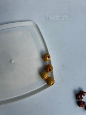 Box of wooden beads