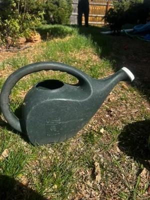 Dark Green Watering Can