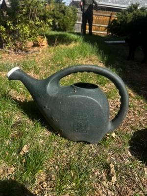 Dark Green Watering Can