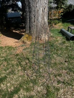 Set of 2 Tomato Cages