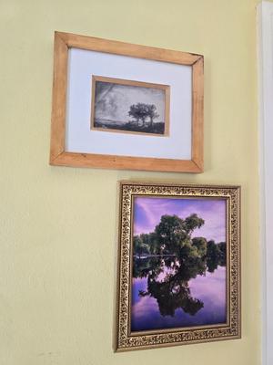 Two framed tree artwork wall hangings one signed by Local photographer Alex Burke