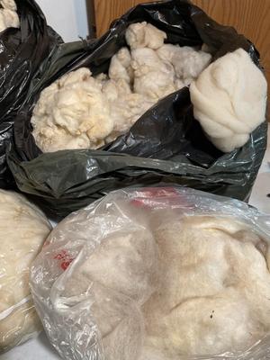 3 large bags of raw wool