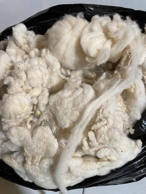 3 large bags of raw wool