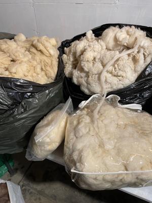 3 large bags of raw wool