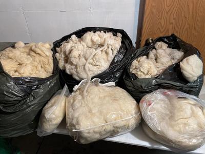 3 large bags of raw wool