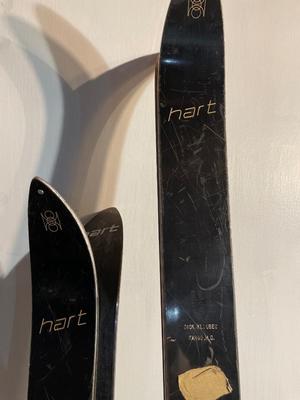 Vintage Hart skis & poles