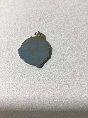Area #1 round colorful necklace pendant