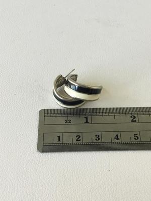 Enamel type small hoop earrings