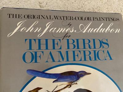LARGE BIRDS OF AMERICA BOOK AND THE SMITHSONIAN'S LORDS OF THE AIR