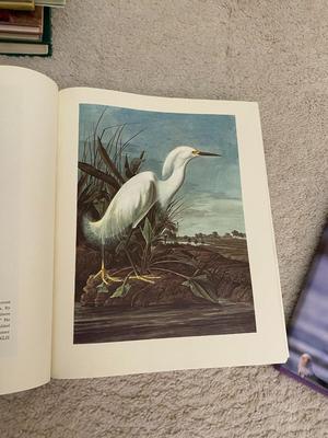 LARGE BIRDS OF AMERICA BOOK AND THE SMITHSONIAN'S LORDS OF THE AIR