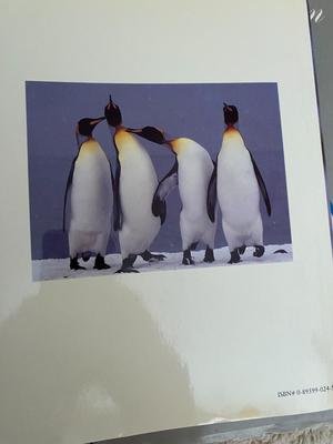 LARGE BIRDS OF AMERICA BOOK AND THE SMITHSONIAN'S LORDS OF THE AIR