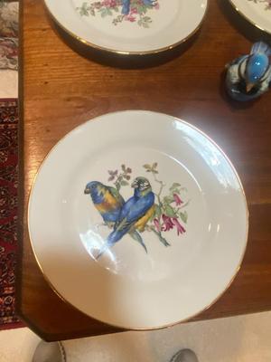 JWK FINE PORCELAIN PLATES FROM W. GERMANY AND 3 GOEBEL BLUE BIRDS