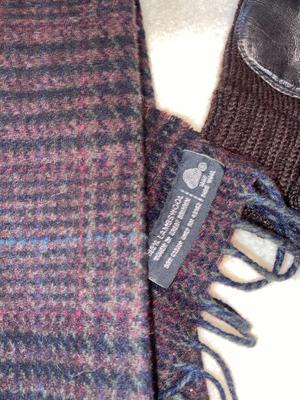LEATHER WINTER ARIS, ISOTONERS, & OTHER GLOVES WITH A WOOL SCARF