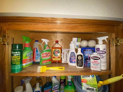 HOUSEHOLD CLEANERS