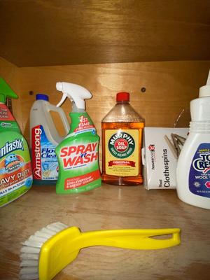 HOUSEHOLD CLEANERS