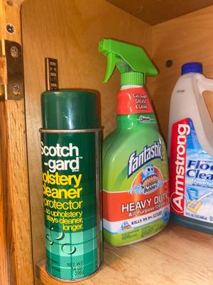 HOUSEHOLD CLEANERS