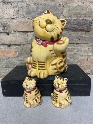 Cute Kitty Cats