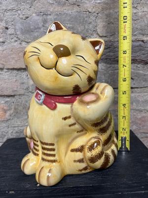 Cute Kitty Cats
