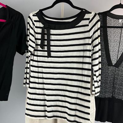 MB8278 Lot of LOFT Tops and Short Set