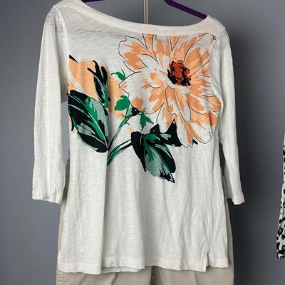 MB8279 Lot of Ladies LOFT Tops and Shorts / Pant