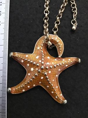 Enamel Starfish Necklace