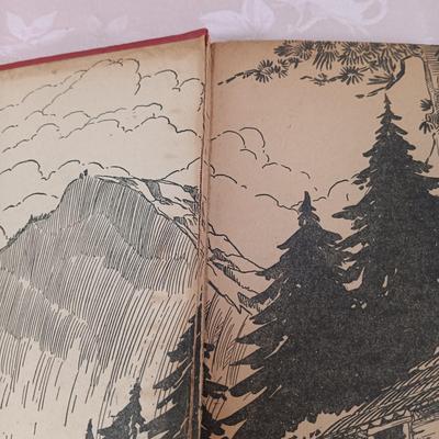 LOT 1: Whitman Publishing Co. Heidi, Walter J. Black Inc. Works of Rudyard Kipling, Better Little Books Sky Roads with Clipper Williams...